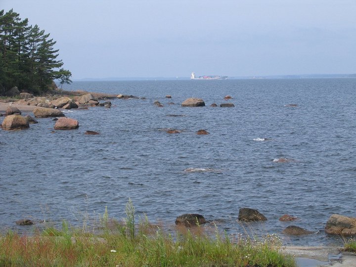 Struven ketju / Mustaviiri